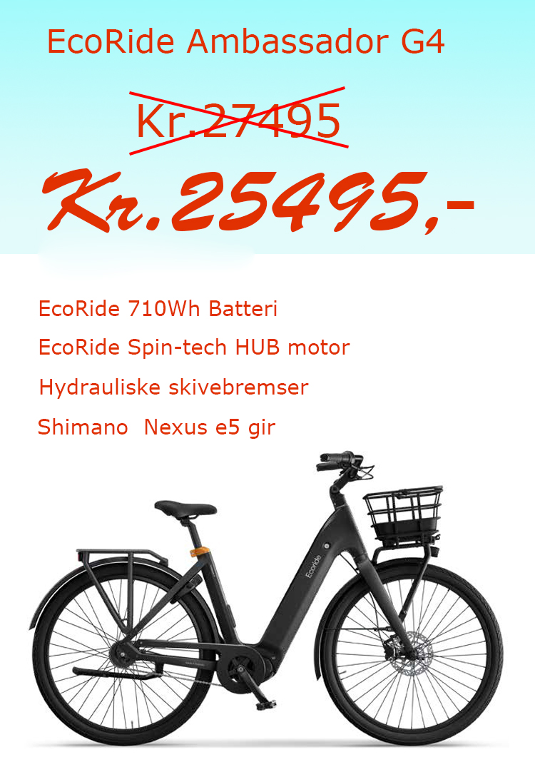 Ecoride Sommersalg