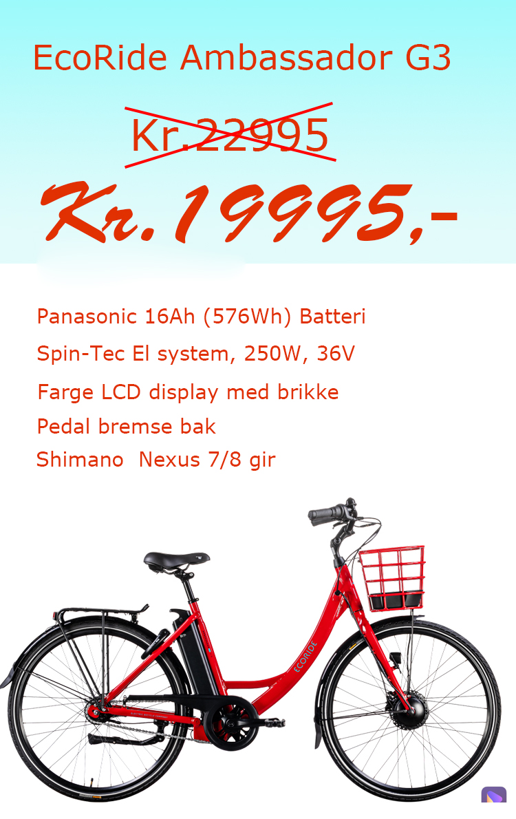 Ecoride Sommersalg