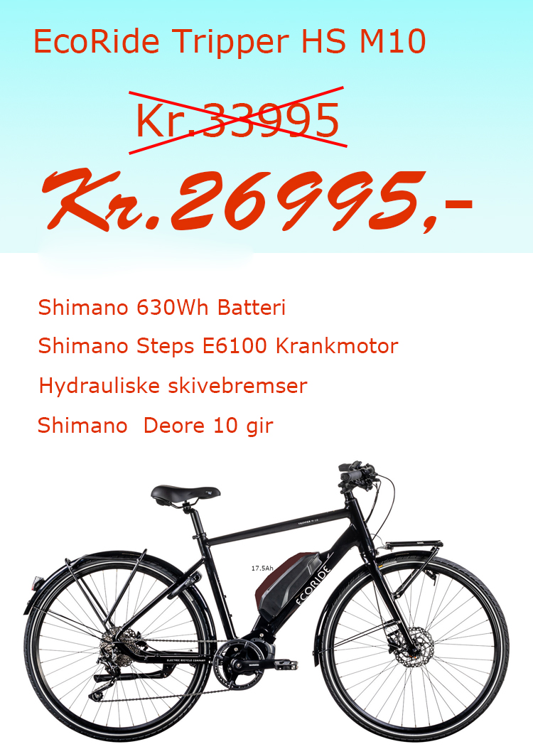 Ecoride Sommersalg