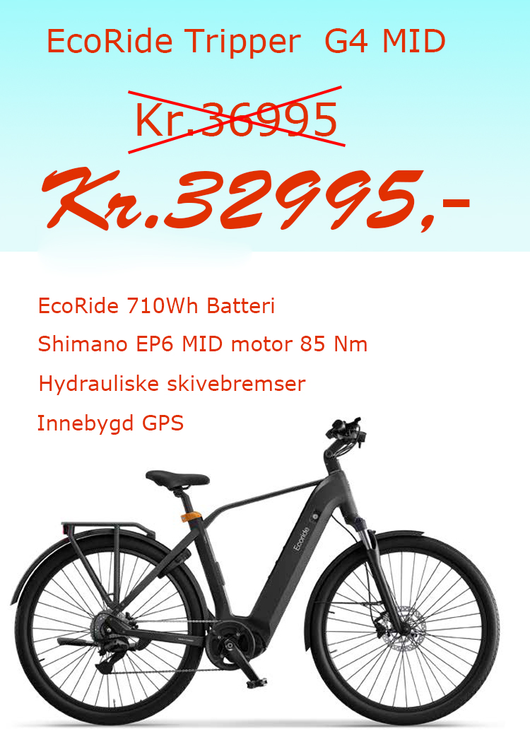 Ecoride Sommersalg