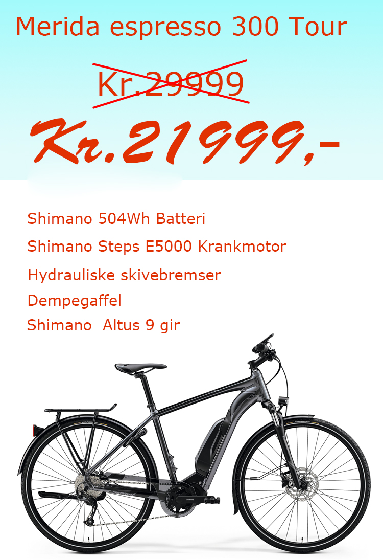 Merida Sommersalg